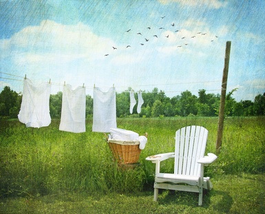 Green Laundry: © Sandra Cunningham