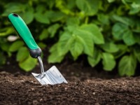 Adopt green practices and start gardening