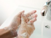 DIY geranium hand wash soap