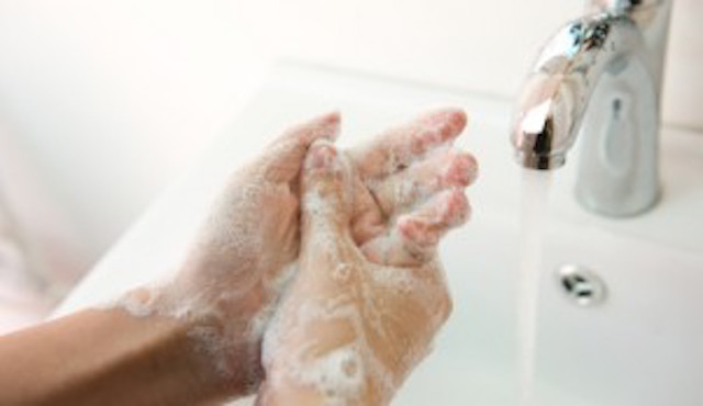 DIY geranium hand wash soap