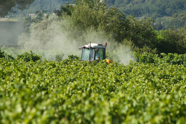 WHO labels Monsanto’s glyphosate as possible carcinogen