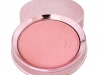 Fruit Pigmented Luminescent Powder