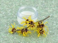 Top 10 uses for Witch Hazel