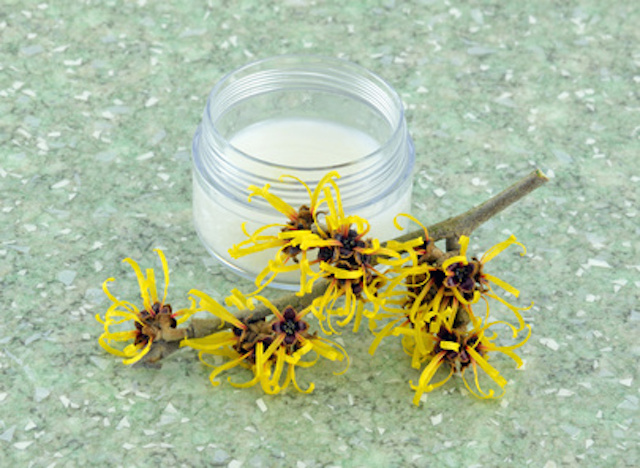 Top 10 uses for Witch Hazel