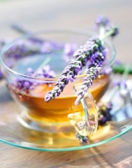 Health benefits of lavender tea