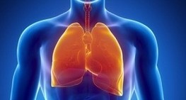Top foods for lung health