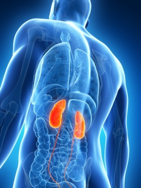 4 essential vitamins for kidney health