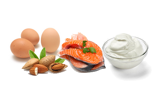 Top healthy protein foods