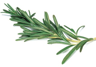 The health benefits of rosemary