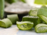 Health benefits of Aloe Vera