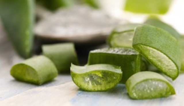 Health benefits of Aloe Vera