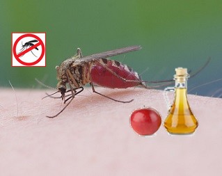 Mosquito Bite Reliever