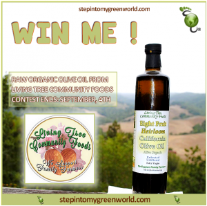 win me olive oil 2