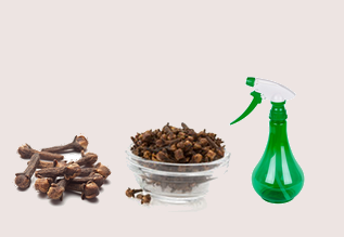Detox the air in your home with this clove disinfectant air freshener