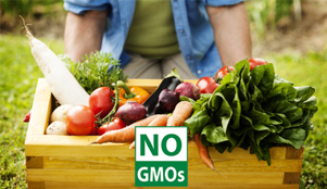 A list of GMO-free food companies
