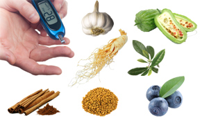 Best herbs for diabetes