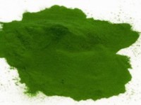 Health benefits of spirulina