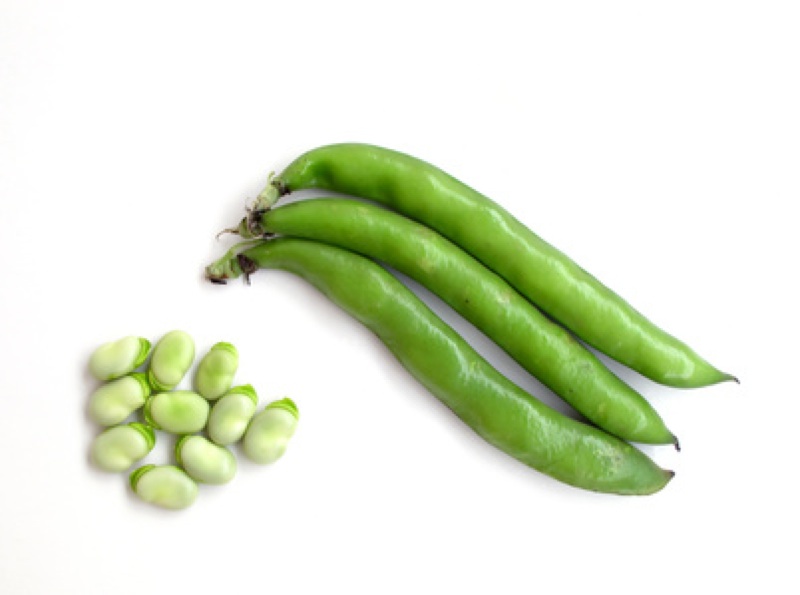 The many health benefits of fava beans