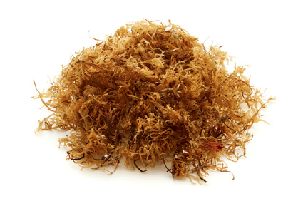 The many health benefits of Irish moss