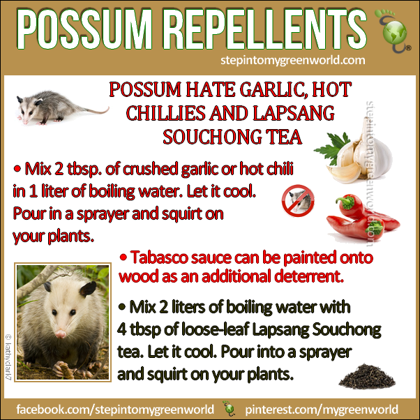 possum repellents -