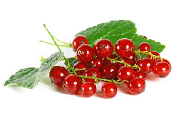 The many health benefits of red currants