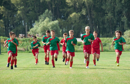Physical activity linked to better academic performance in boys