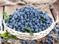 Wild blueberries lower blood pressure and inflammation
