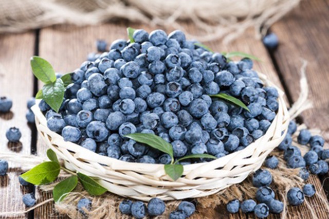 Wild blueberries lower blood pressure and inflammation