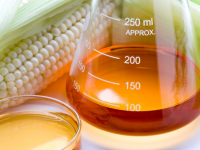 Corn syrup is more toxic than table sugar