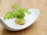 How to regrow 5 common veggie scraps