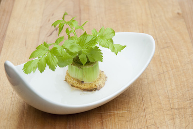 How to regrow 5 common veggie scraps