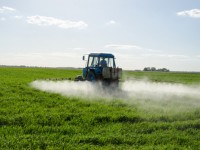 Common pesticide increases ADHD risk
