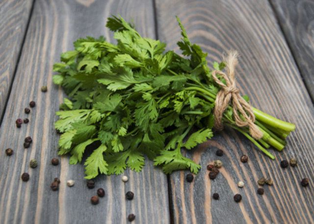 The many health benefits of eating cilantro