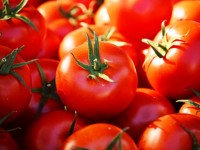 Tomatoes may reduce kidney cancer risk