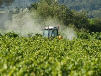 WHO labels Monsanto’s glyphosate as possible carcinogen