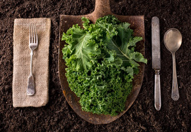 10 reasons to eat kale