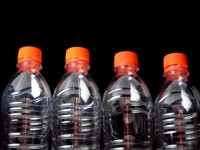 BPA exposure may affect fertility
