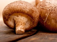 Mushrooms boost the immune system