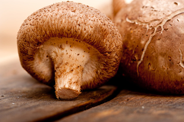 Mushrooms boost the immune system