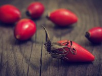 Rosehips may reduce belly fat