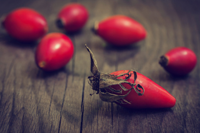 Rosehips may reduce belly fat