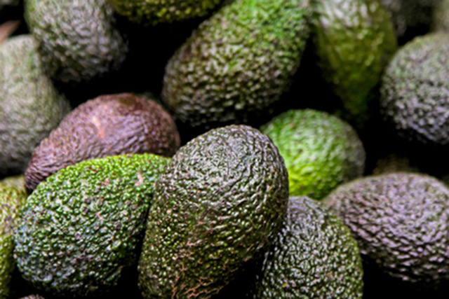 Avocados may be key to beating leukemia