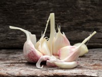 Garlic may fight antimicrobial resistant urinary tract infections