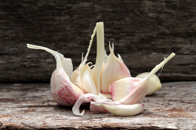 Garlic may fight antimicrobial resistant urinary tract infections
