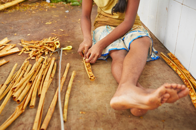 10 reasons to include cinnamon in your diet