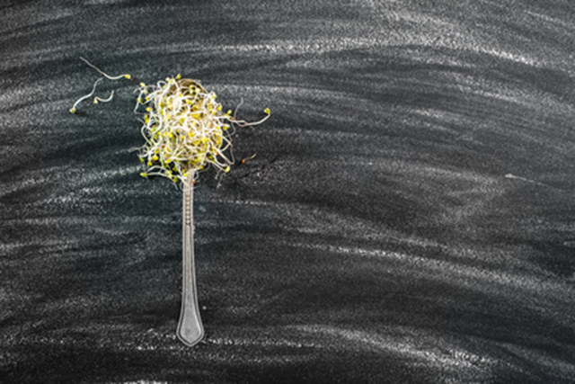 Broccoli sprout extract may treat autism better than drugs