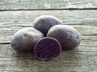 Purple potatoes may fight colon cancer