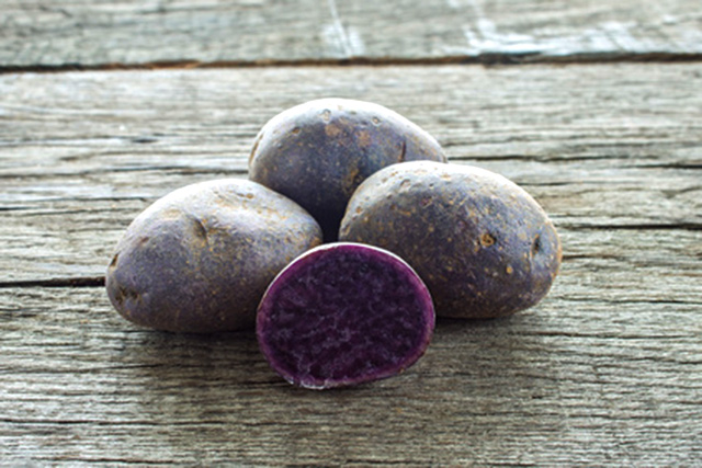 Purple potatoes may fight colon cancer