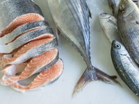 FDA has approved GMO salmon