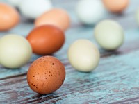 Nestlé announced its eggs will be cage-free by 2020
